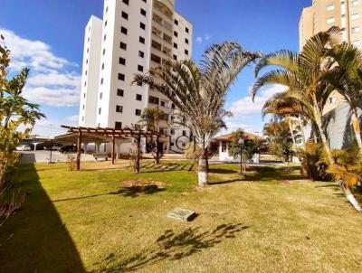 imagem-miniatura